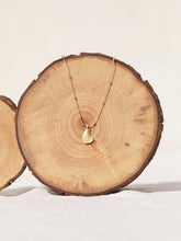 Cargar imagen en el visor de la galería, Collar oro concha bolitas en oro mate con cadena con bolas intercaladas de 2mm bañada en oro y 37cm de largo con extensión para diferentes medidas.