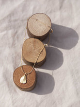 Cargar imagen en el visor de la galería, Collar oro concha bolitas en oro mate con cadena con bolas intercaladas de 2mm bañada en oro y 37cm de largo con extensión para diferentes medidas.