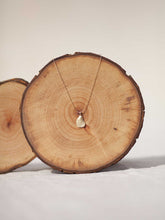 Cargar imagen en el visor de la galería, Collar oro concha lisa en oro mate con cadena sencilla de 0,7mm bañada en oro y 37cm de largo con extensión para poder colocar a diferentes medidas.