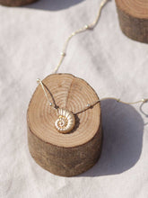 Cargar imagen en el visor de la galería, Collar oro caracola bolitas 19x16mm oro mate con cadena de bola intercaladas de 2mm bañada en oro y 37cm de largo con extensión para diferentes medidas.