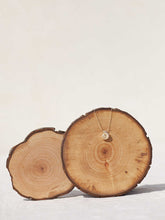 Cargar imagen en el visor de la galería, Collar oro caracola lisa de 19x16mm oro mate con cadena sencilla de 0,7mm bañada en oro y un largo de 37cm con extensión para diferentes medidas.