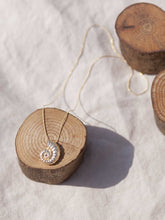 Cargar imagen en el visor de la galería, Collar oro caracola lisa de 19x16mm oro mate con cadena sencilla de 0,7mm bañada en oro y un largo de 37cm con extensión para diferentes medidas.