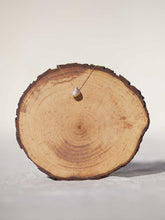 Cargar imagen en el visor de la galería, Collar oro caracola cerrada de 14x12mm oro mate con cadena sencilla de 0,7mm bañada en oro y 37cm de largo con extensión para diferentes medidas.