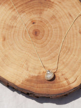 Cargar imagen en el visor de la galería, Collar oro caracola cerrada de 14x12mm oro mate con cadena sencilla de 0,7mm bañada en oro y 37cm de largo con extensión para diferentes medidas.