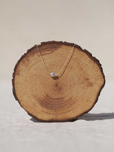 Cargar imagen en el visor de la galería, Collar pez mini relieve Plata brillo con cadena sencilla de 0,7mm de latón bañada en Plata y 37cm de largo con extensión para diferentes medidas.