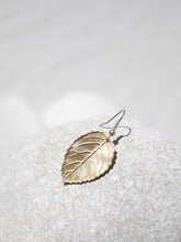 Cargar imagen en el visor de la galería, Pendientes con Hoja maxi 32x22mm bañada en Oro mate.