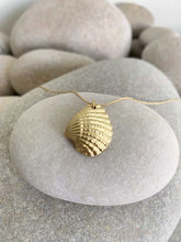 Cargar imagen en el visor de la galería, Collar oro almeja mate de 22x18mm con cadena sencilla de 0,7mm bañada en oro y un largo de 37cm con extensión para poner a diferentes medidas.