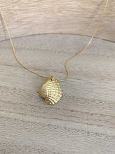 Cargar imagen en el visor de la galería, Collar oro almeja mate de 22x18mm con cadena sencilla de 0,7mm bañada en oro y un largo de 37cm con extensión para poner a diferentes medidas.