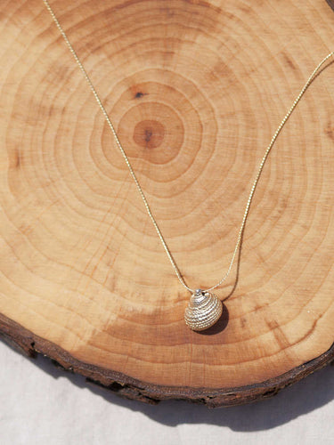 Collar oro caracola cerrada de 14x12mm oro mate con cadena sencilla de 0,7mm bañada en oro y 37cm de largo con extensión para diferentes medidas.